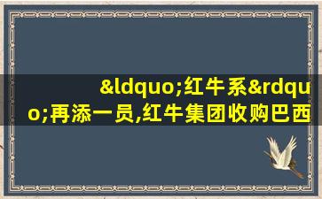 “红牛系”再添一员,红牛集团收购巴西第三级联赛球队