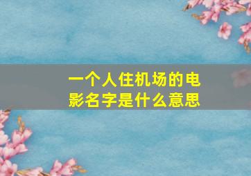 一个人住机场的电影名字是什么意思