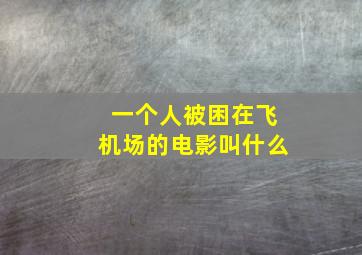 一个人被困在飞机场的电影叫什么