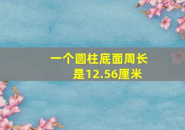 一个圆柱底面周长是12.56厘米