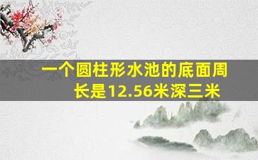 一个圆柱形水池的底面周长是12.56米深三米