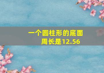 一个圆柱形的底面周长是12.56