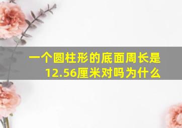 一个圆柱形的底面周长是12.56厘米对吗为什么