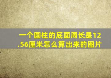 一个圆柱的底面周长是12.56厘米怎么算出来的图片