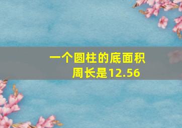 一个圆柱的底面积周长是12.56