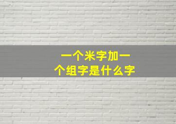 一个米字加一个组字是什么字