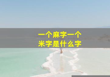 一个麻字一个米字是什么字