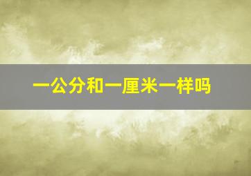 一公分和一厘米一样吗