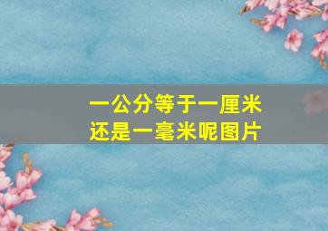 一公分等于一厘米还是一毫米呢图片