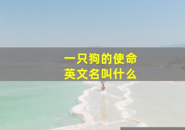 一只狗的使命英文名叫什么