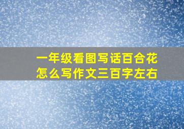 一年级看图写话百合花怎么写作文三百字左右