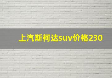 上汽斯柯达suv价格230