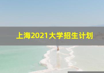 上海2021大学招生计划