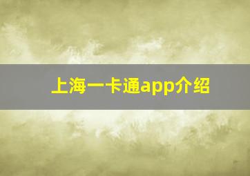 上海一卡通app介绍