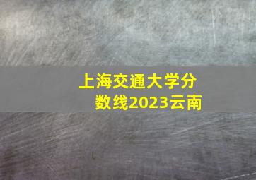 上海交通大学分数线2023云南