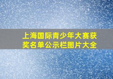 上海国际青少年大赛获奖名单公示栏图片大全