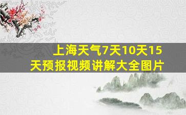 上海天气7天10天15天预报视频讲解大全图片