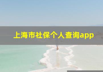 上海市社保个人查询app