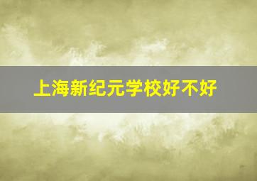 上海新纪元学校好不好