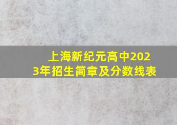 上海新纪元高中2023年招生简章及分数线表