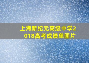 上海新纪元高级中学2018高考成绩单图片