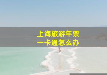 上海旅游年票一卡通怎么办