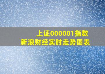 上证000001指数新浪财经实时走势图表