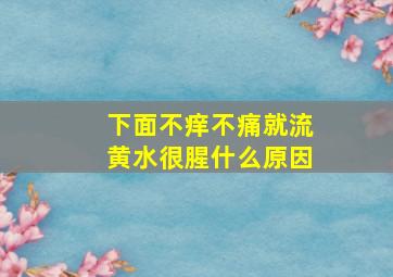 下面不痒不痛就流黄水很腥什么原因