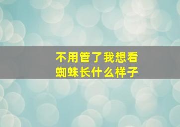 不用管了我想看蜘蛛长什么样子