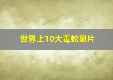 世界上10大毒蛇图片