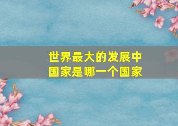 世界最大的发展中国家是哪一个国家