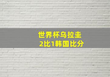 世界杯乌拉圭2比1韩国比分