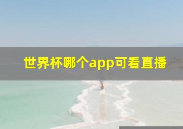 世界杯哪个app可看直播