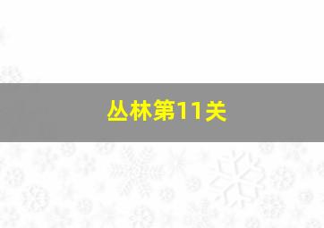 丛林第11关