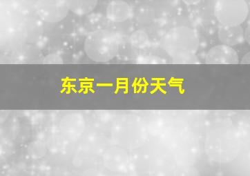 东京一月份天气