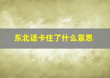 东北话卡住了什么意思