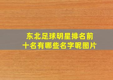 东北足球明星排名前十名有哪些名字呢图片