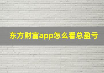 东方财富app怎么看总盈亏