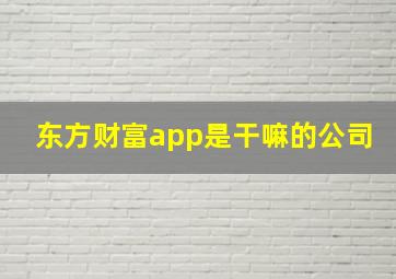 东方财富app是干嘛的公司