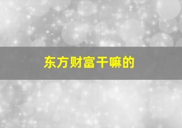 东方财富干嘛的