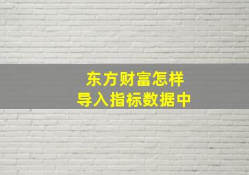 东方财富怎样导入指标数据中