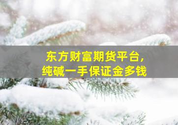 东方财富期货平台,纯碱一手保证金多钱