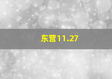 东营11.27