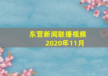 东营新闻联播视频2020年11月