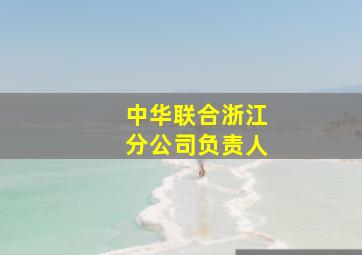 中华联合浙江分公司负责人