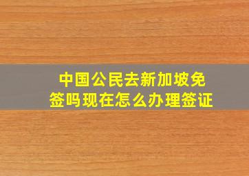 中国公民去新加坡免签吗现在怎么办理签证