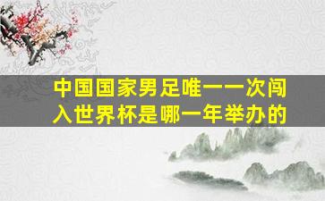 中国国家男足唯一一次闯入世界杯是哪一年举办的