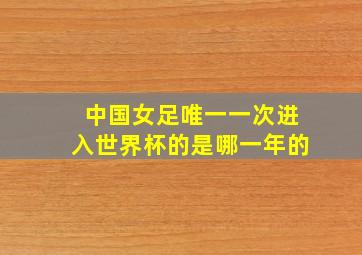 中国女足唯一一次进入世界杯的是哪一年的