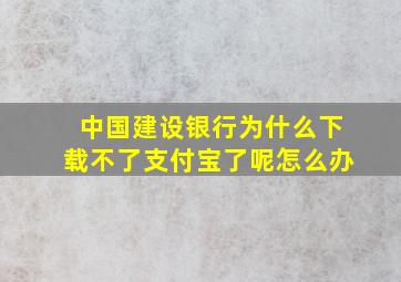 中国建设银行为什么下载不了支付宝了呢怎么办