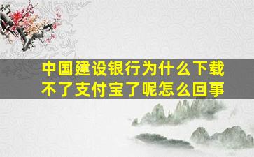 中国建设银行为什么下载不了支付宝了呢怎么回事